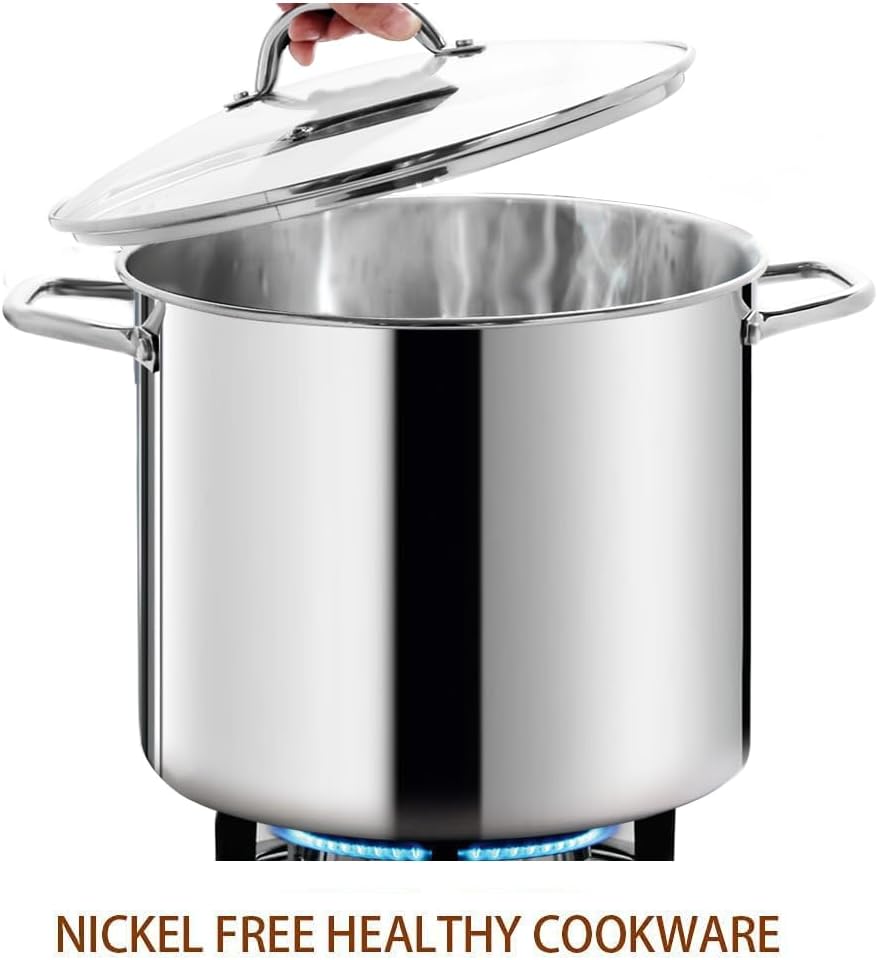 Commercial Grade LARGE STOCK POT 20 Quart With Lid - Nickel Free Stainless Steel Cookware - Healthy Polished