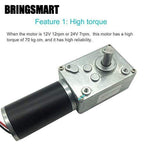 BRINGSMART 24V 5rpm DC Worm Gear Motor Self-Locking Mini Engine Turbine