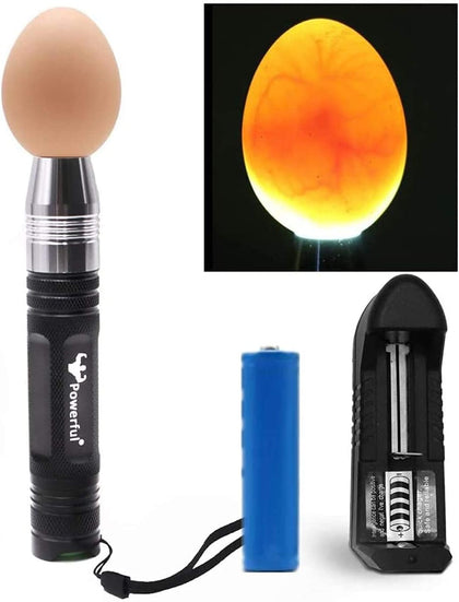 Professional LED Light Egg Candler Incubator Stainless Steel Tester for All Egg Type, Ultra Bright, Powered Portable