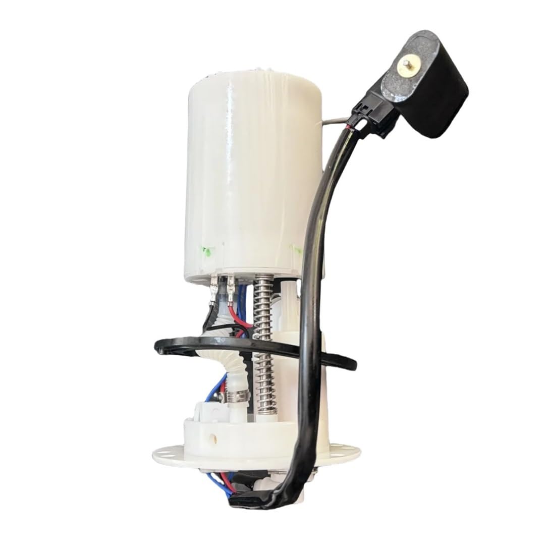 Efi Pump with Washer Suitable for HS700ATV-8 P208001395000000
