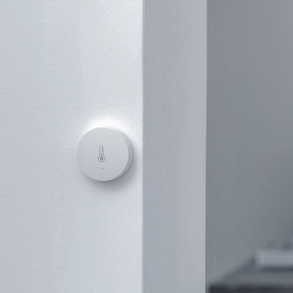 Mi Temperature and Humidity Sensor