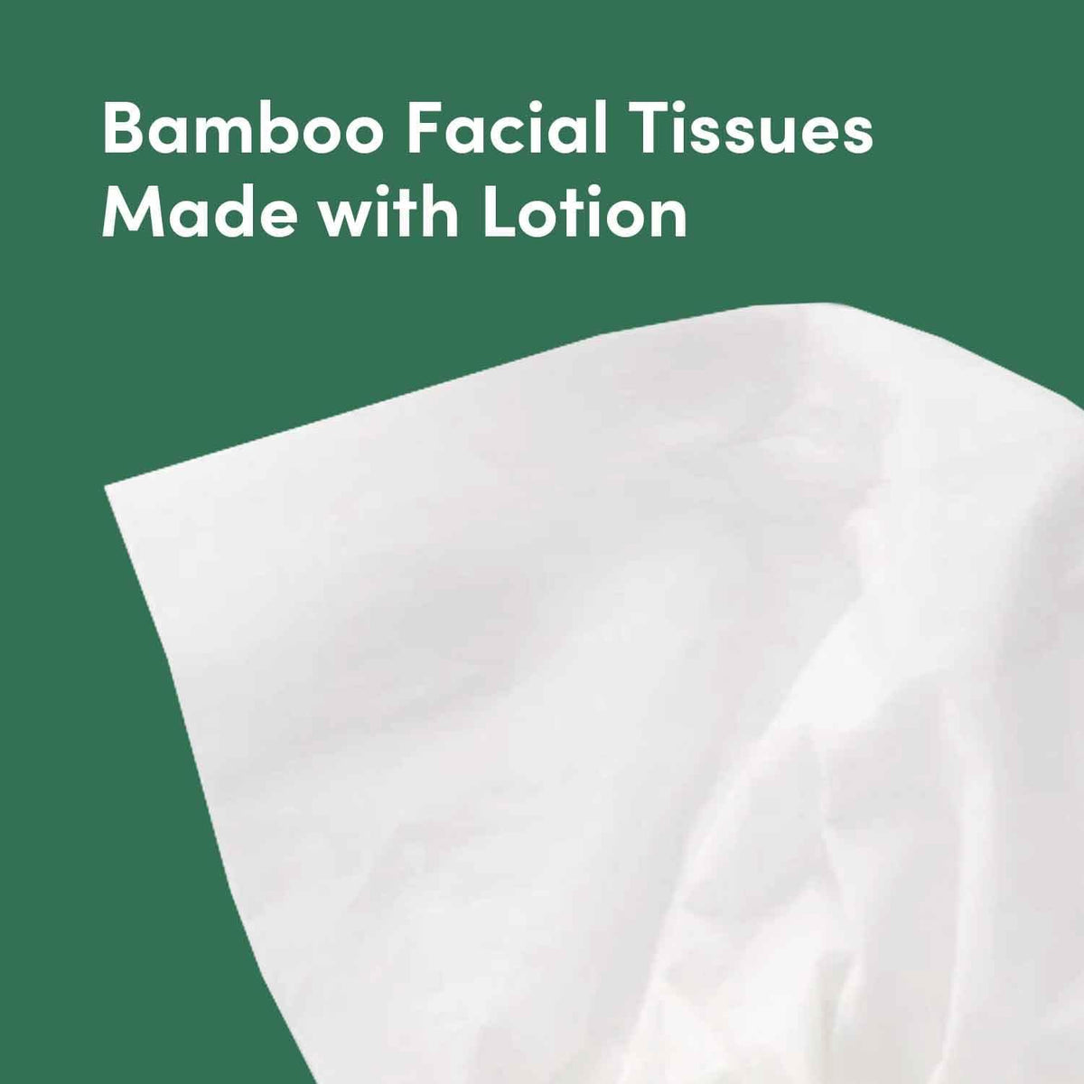 Bamboo Facial Tissues with Lotion, 3-Ply, 12 Pack, 60 Sheets Per Box, 720 Total