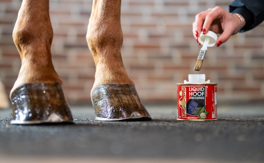Kevin Bacon Liquid Dressing Hoof Oil 500ml Clear