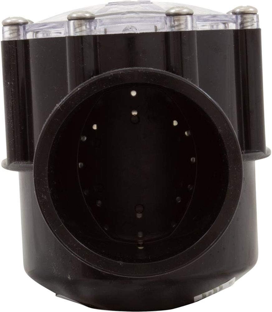 Pentair 263042 Check Valve CPVC for Pool Pumps, 2 Port Straight