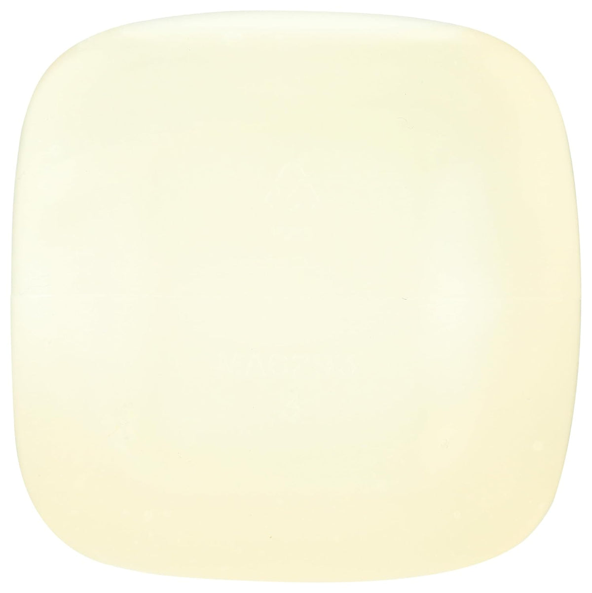 Stain Remover, 26 FZ