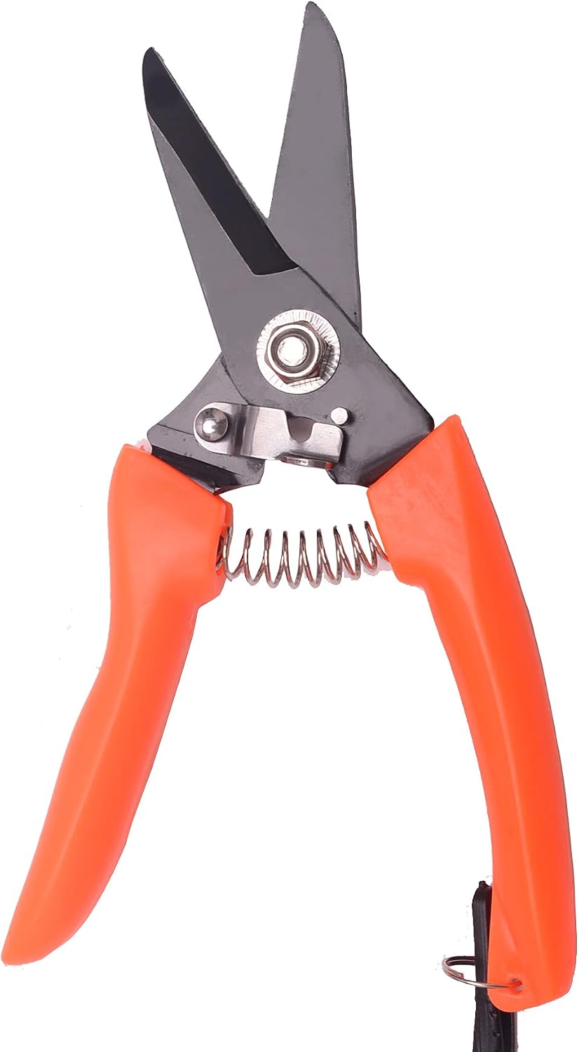 Hoof Trimming Shears (2 pcs) - Goat Hoof Trimmer Foot Rot Trimmer for Goats Sheep Pig, Floral Trimming Shears for Garden
