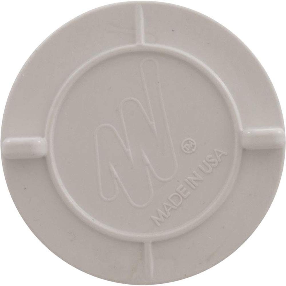 Waterway Hydrostatic Relief Valve, 2" mpt, White