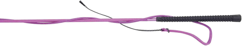 Lunge Whip