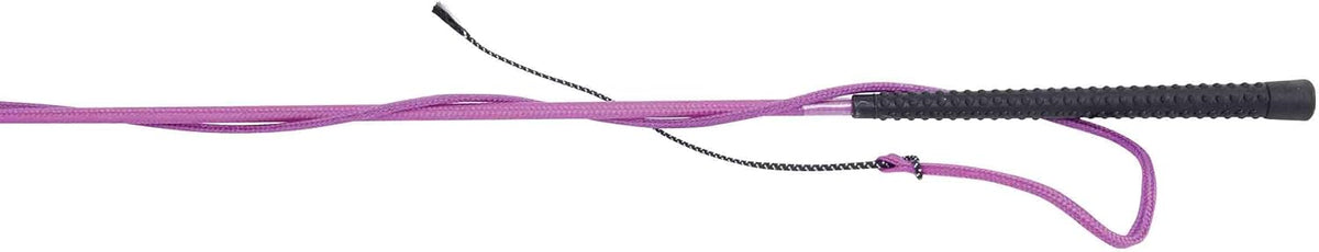 Lunge Whip
