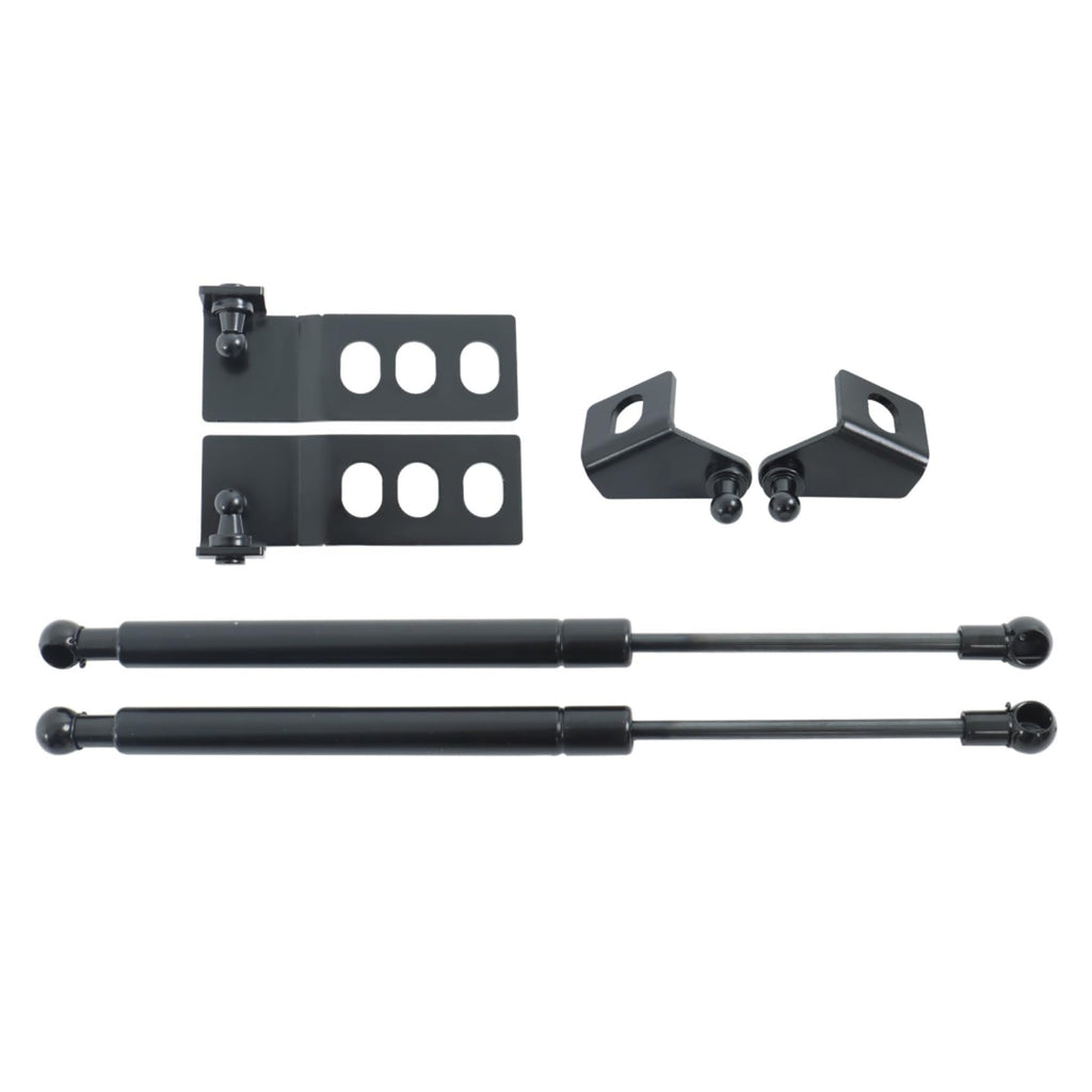 labwork Lift Support Shock Strut Damper Replacement for RAV4 2019-2020