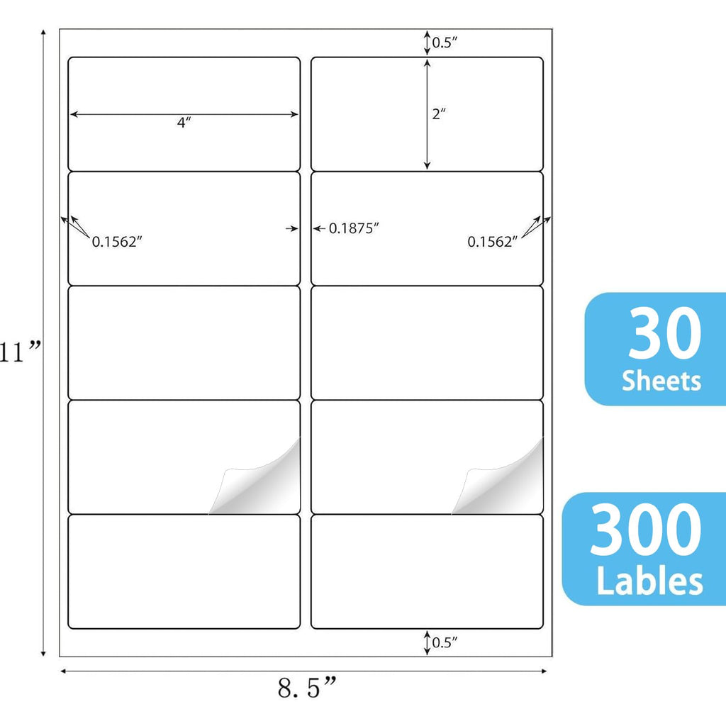2x4 inch Shipping Labels, 300 Labels per Pack, Laser/Inkjet Compatible, Self-Adhesive