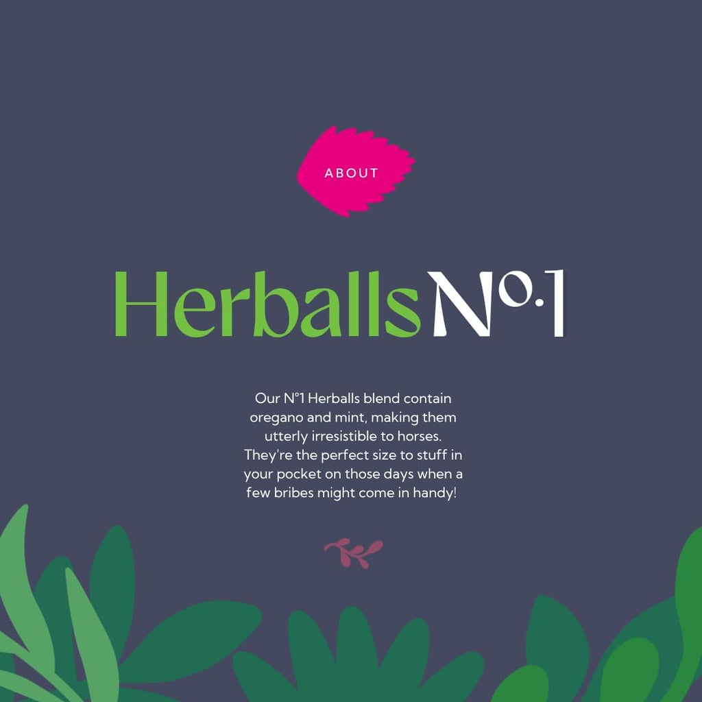 Herballs No. 1 Oregano & Mint Horse Treat, 1.1 lb Bag – Herbal Horse Treats, Healthy Horse Treats, Natural Equine
