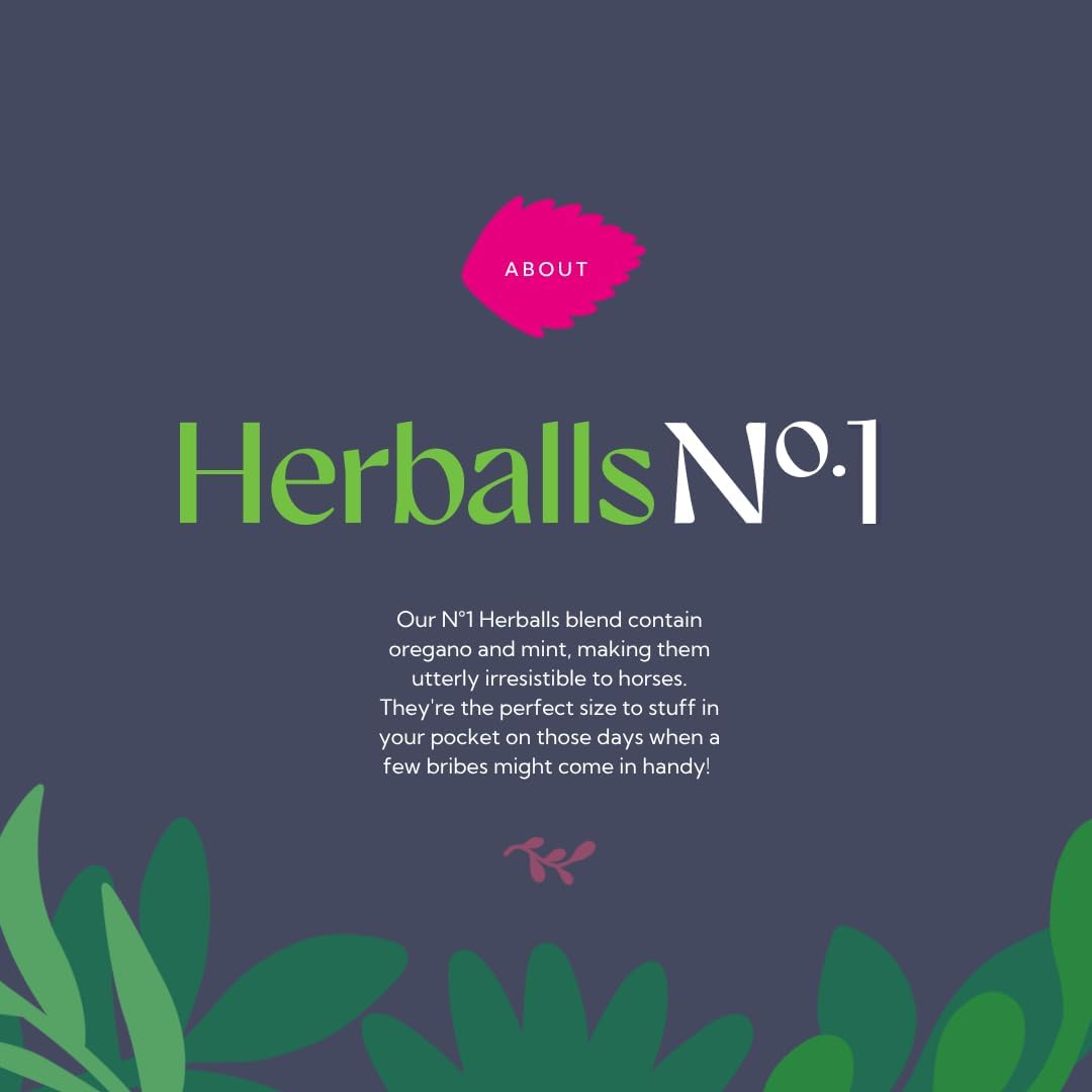 Herballs No. 1 Oregano & Mint Horse Treat, 1.1 lb Bag – Herbal Horse Treats, Healthy Horse Treats, Natural Equine