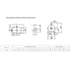 ATO 3 hp (2.2kW) 3 Phase AC Induction Motor, 4 Pole 380V/220V 50Hz AC Electric Motor, 14.8Nm 1420 RPM Asynchronous AC Motor