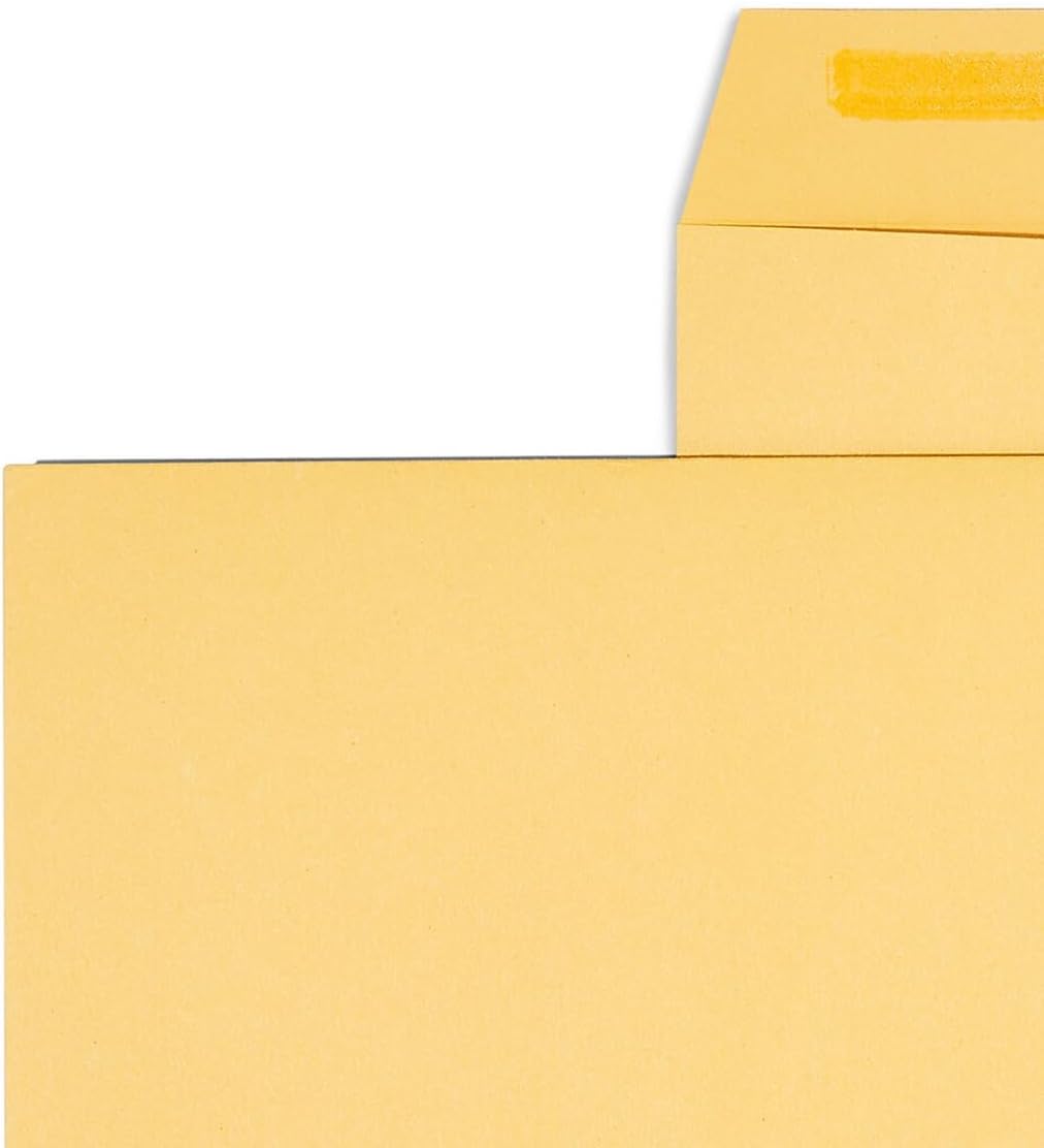 9x12 QuickStrip EasyClose Catalog Envelopes, Brown Kraft, 100ct