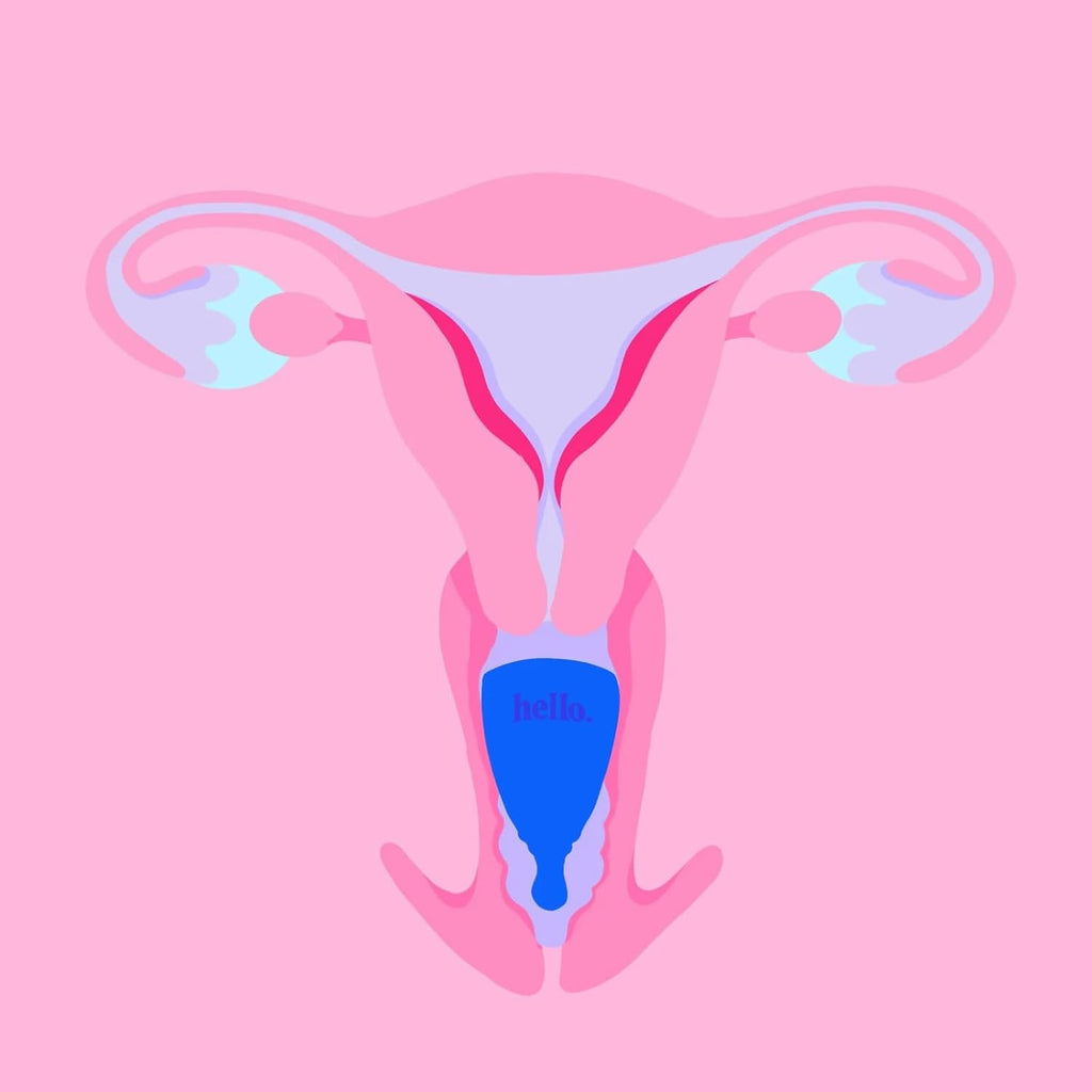 Cup High Cervix Menstrual Cup | Award Winning Reusable Soft Flexible Alternative to Pads & Tampons | Sustainable