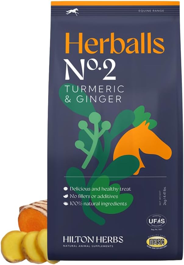 Herballs No.2 - Turmeric & Ginger All-Natural Treats for Horses 2kg (4.4lb) Bag, Equine Supplement