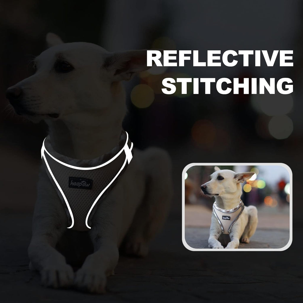 Dog Harness with Leash Set, No Pull Adjustable Reflective Step-in Puppy Harness with Thickened Padded Vest for