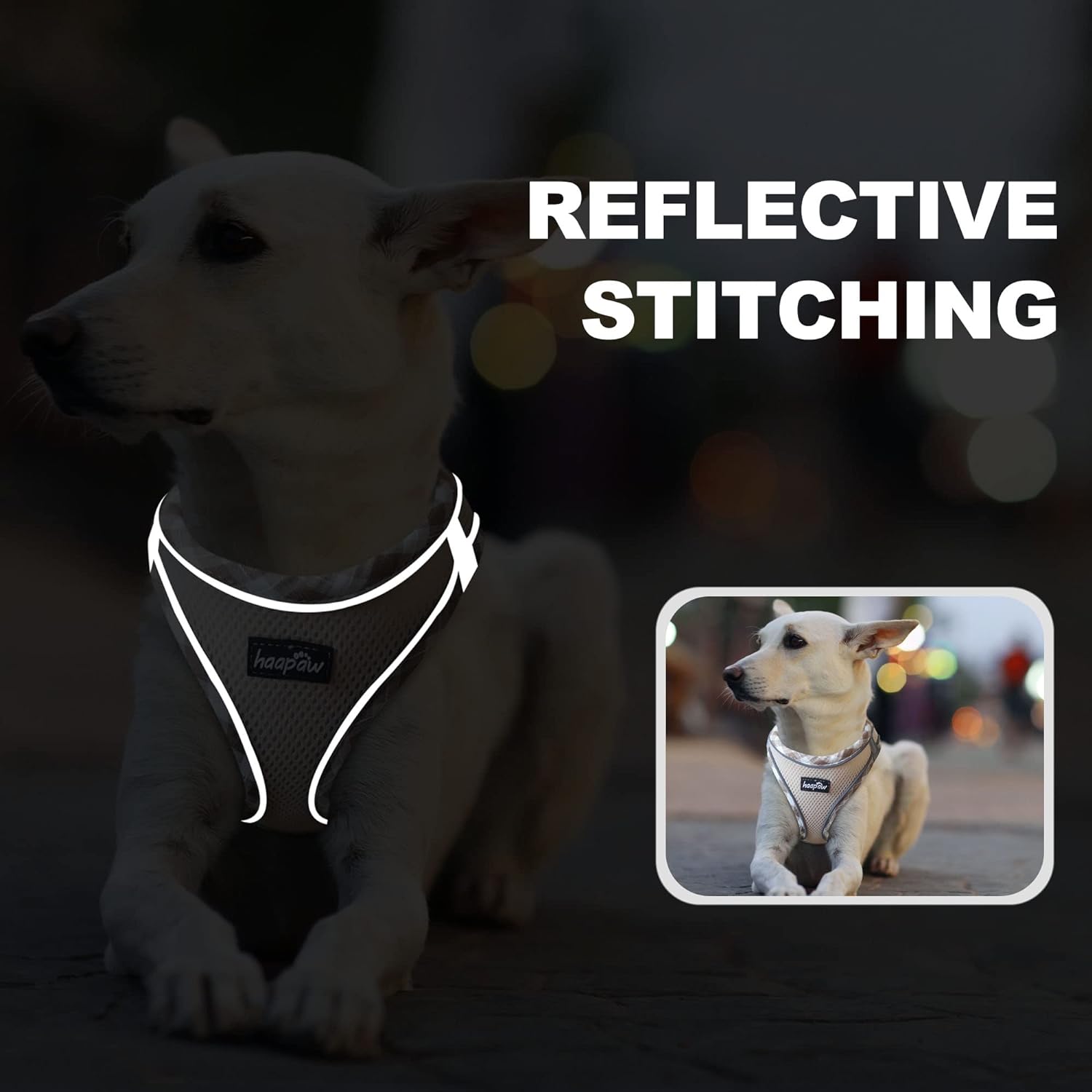 Dog Harness with Leash Set, No Pull Adjustable Reflective Step-in Puppy Harness with Thickened Padded Vest for