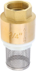 3/4" Brass Foot Valve with Filter DN20 Water Pump Bottom Check Valves