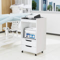 Medical Carts with Wheels, Crash Cart Ultrasound Trolley with Non-Slip Pads, Utility Esthetician Rolling Cart Mobile