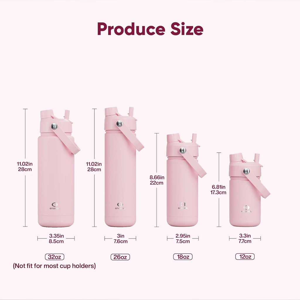 Insulated Water Bottle with Straw Stainless Steel Water Bottle, Leak-Proof, BPA-Free, Double Wall Vacuum Keeps Cold
