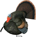 Turkey Decoy