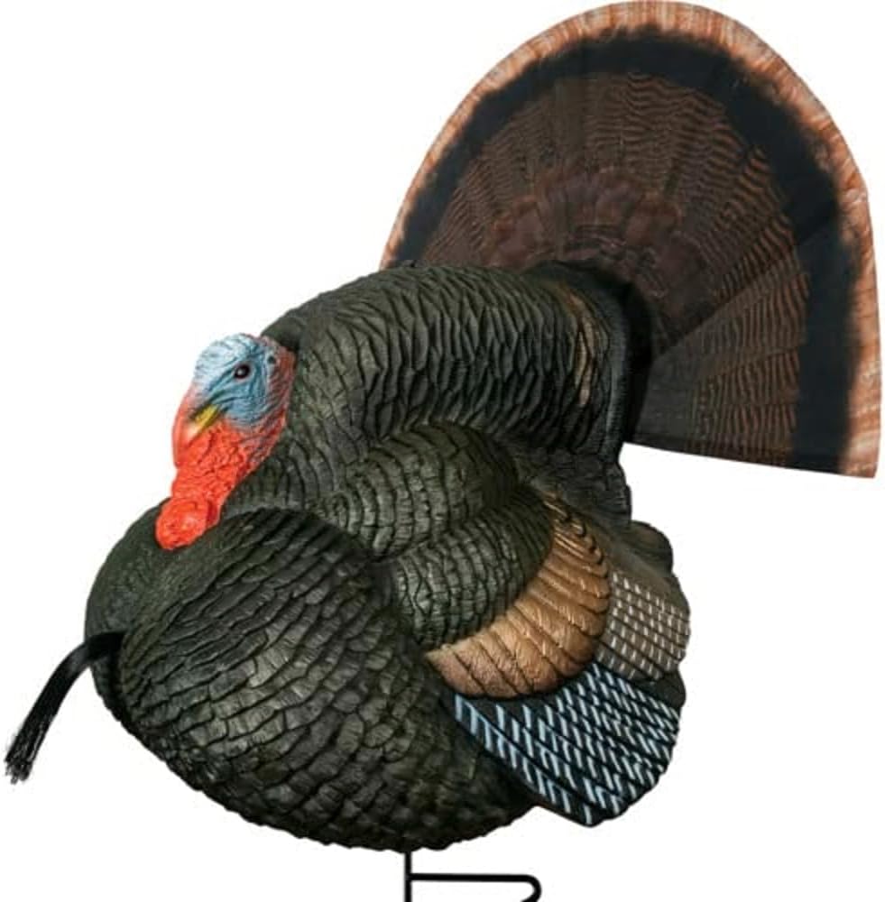 Turkey Decoy