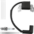 593872 Ignition Coil and Spark Plug Kit for Briggs and Stratton 593381 799582 Magneto Armature 08P502 09P602 09P702