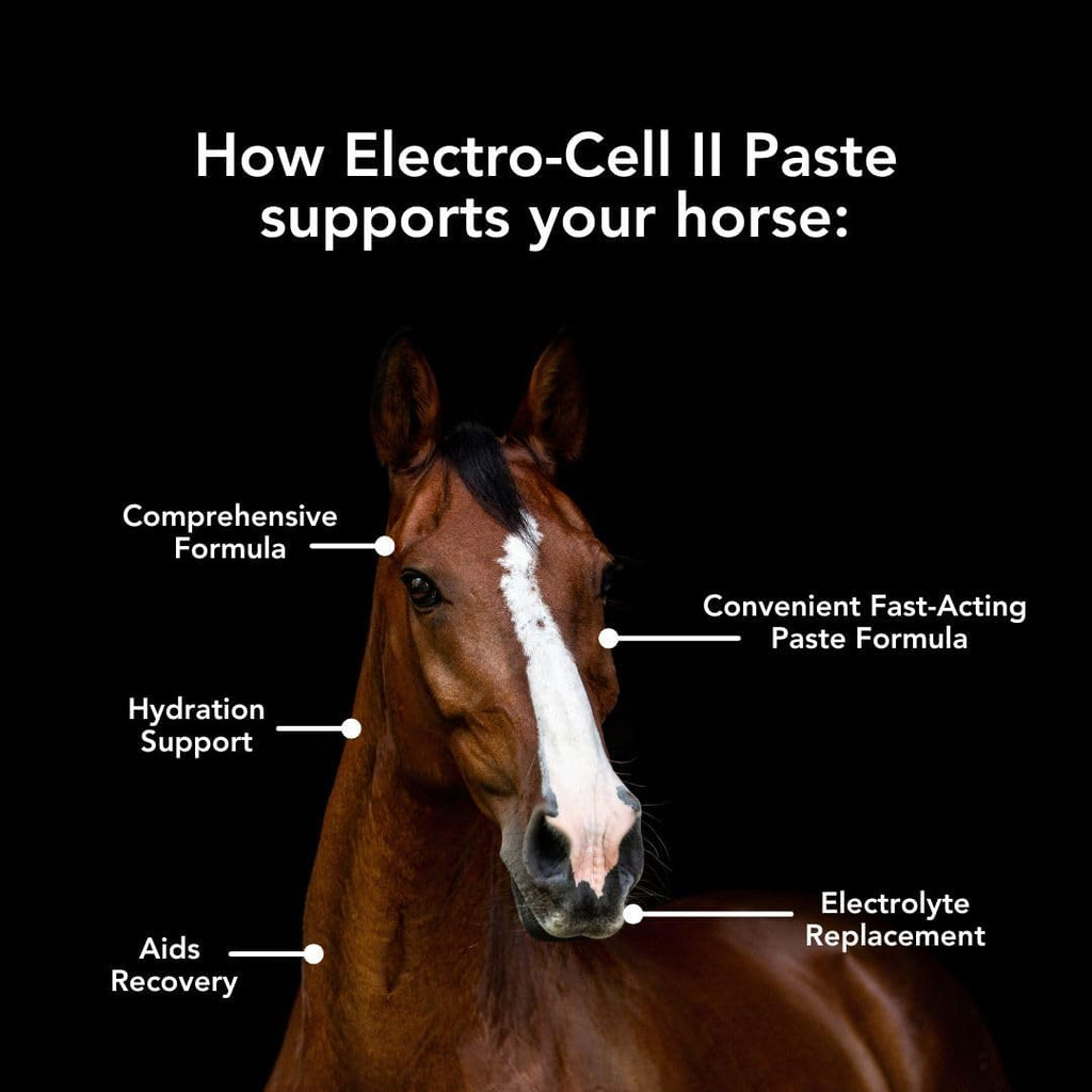 Electro-Cell II Electrolyte Paste with Probiotics for Horses