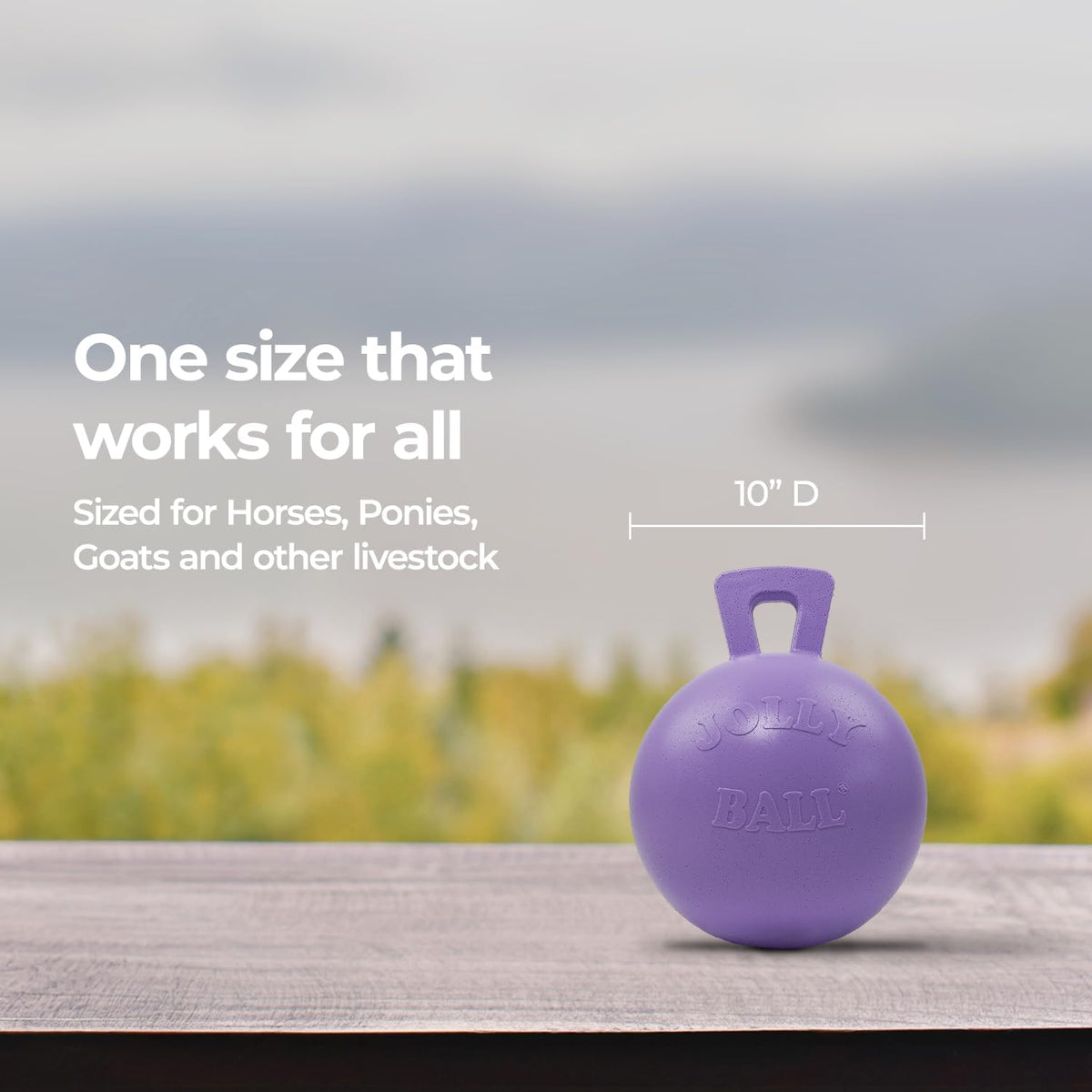 10 in Jolly Ball Horse Toy, Light Purple