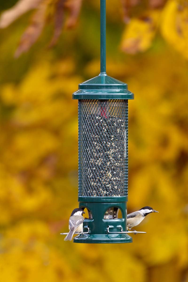 Squirrel Buster Legacy Squirrel-Proof Bird Feeder for Wild Birds – 4 Metal Removable Perches, 2.6 lb Seed Capacity