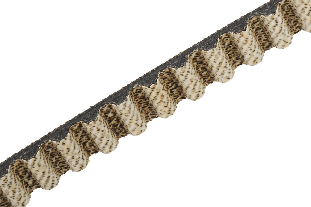GM Genuine Parts 55493234 Timing Belt