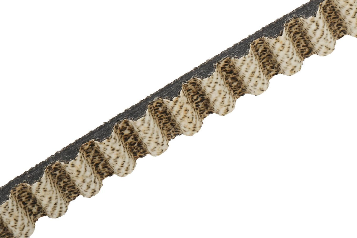 GM Genuine Parts 55493234 Timing Belt