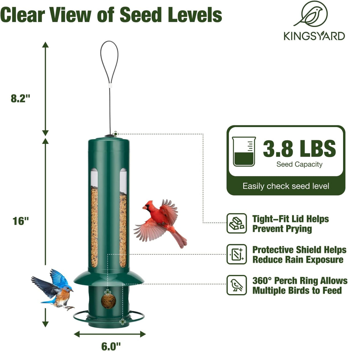 Squirrel Proof Hanging Bird Feeder for Outdoors