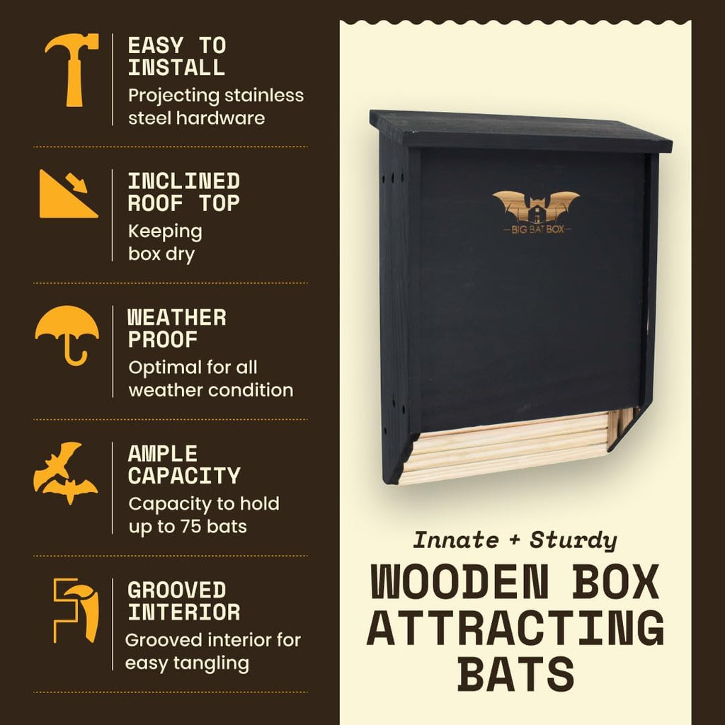 BIGBATBOX Bat House for Outdoors - Large 2 Chamber, Black, Holds 75 Bats
