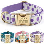 PETDURO Personalized Dog Collars Purple Spot Print