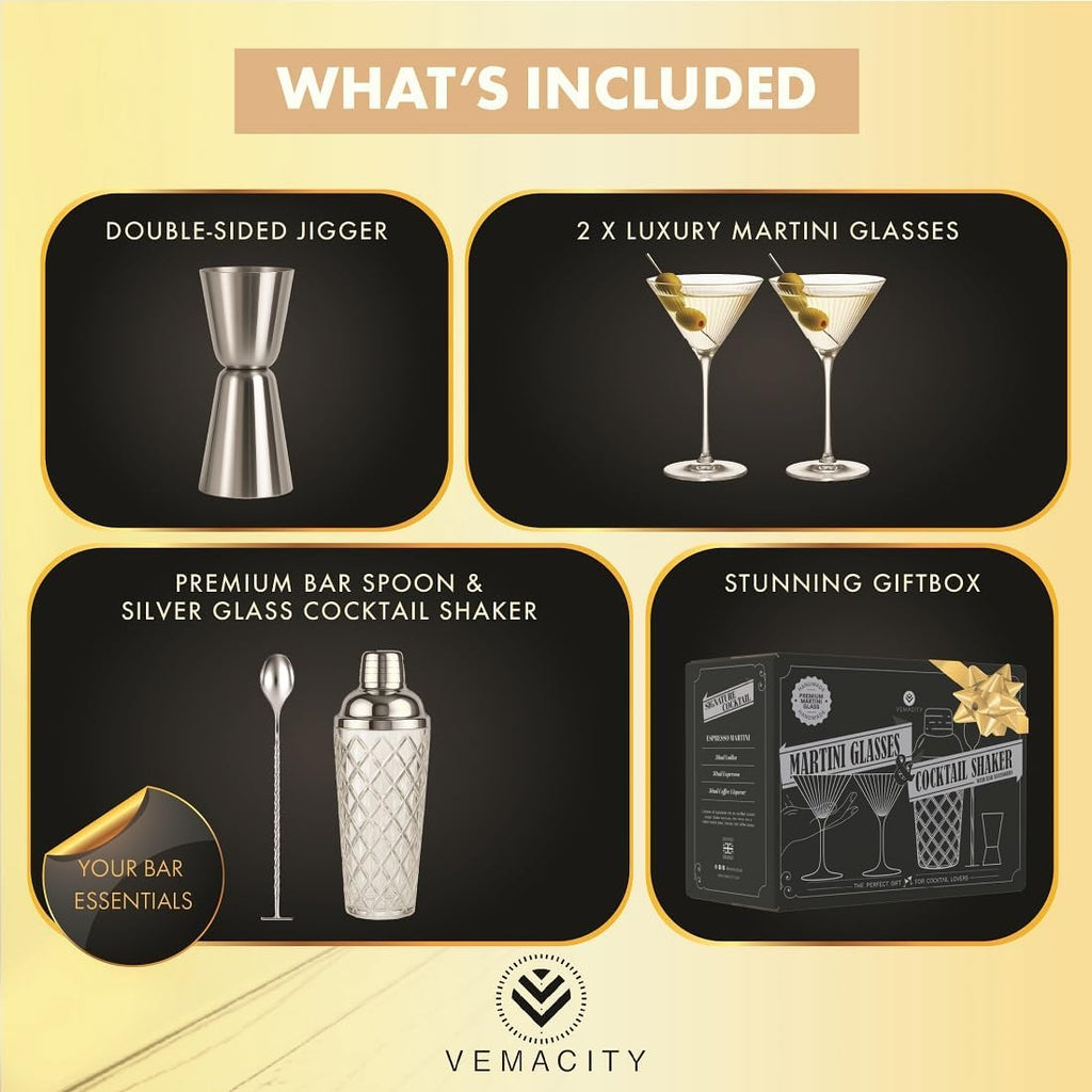 Silver Cocktail Shaker Set + 2 Ribbed Martini Glasses & Bar Tools