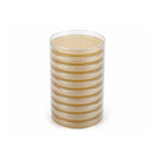 Malt Extract Agar (MEA) Plates, 10 Prepoured Plates