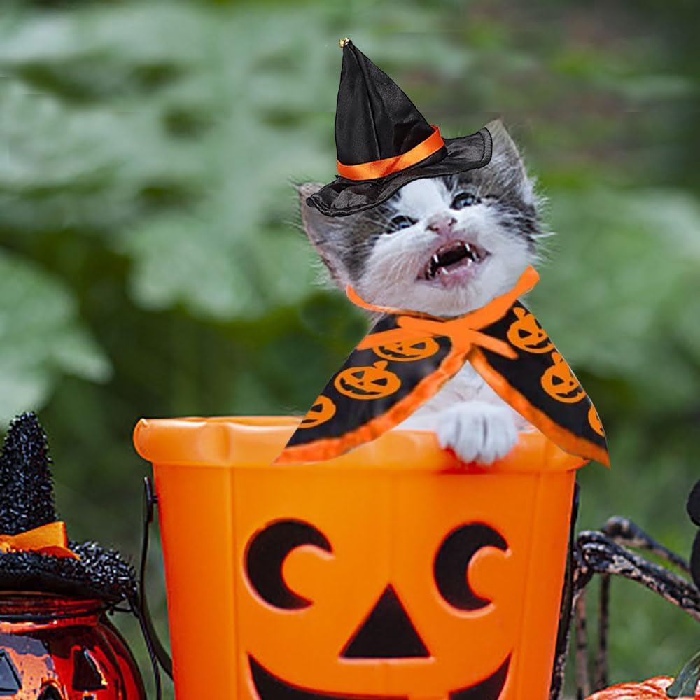 Halloween Cat Costume Cloak Witch Hat Pet Accessories Halloween Adjustable Pumpkin Pet Costumes Clothes Set