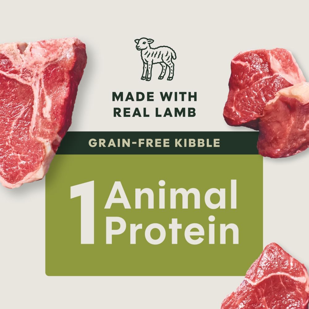 Limited Ingredient Diet Dry Dog Food, Real Lamb, 20 lb. Bag