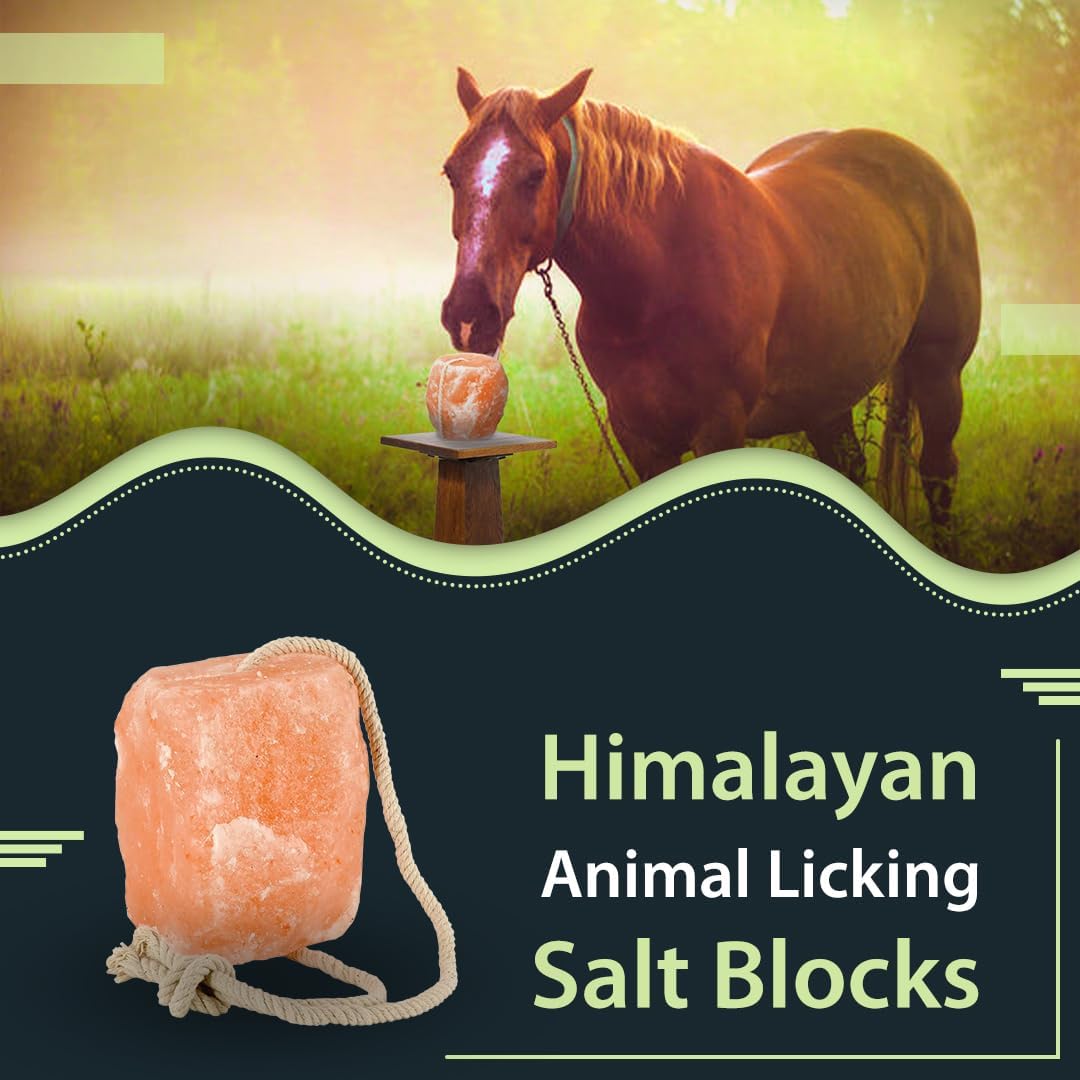 5–6 lbs Salt Lick for Horses Natural Mineral Block for Horses and Livestock