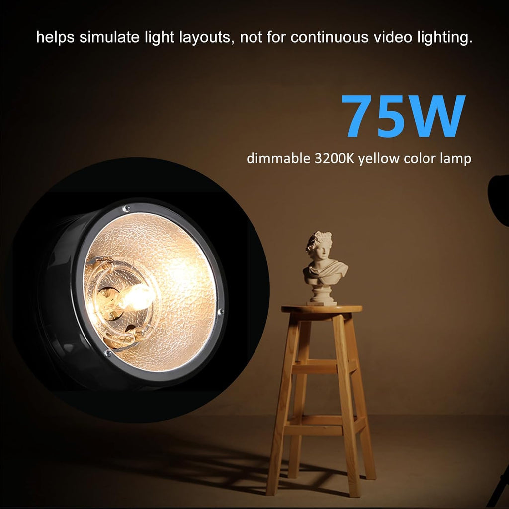 Professional Studio Flash Kit for Photography, Strobe Lights Softbox Lighting Kit, 2x180W 5600K Compact Monolights