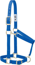 Nylon Horse Halter, Average Horse, Padded & Adjustable, 1 in