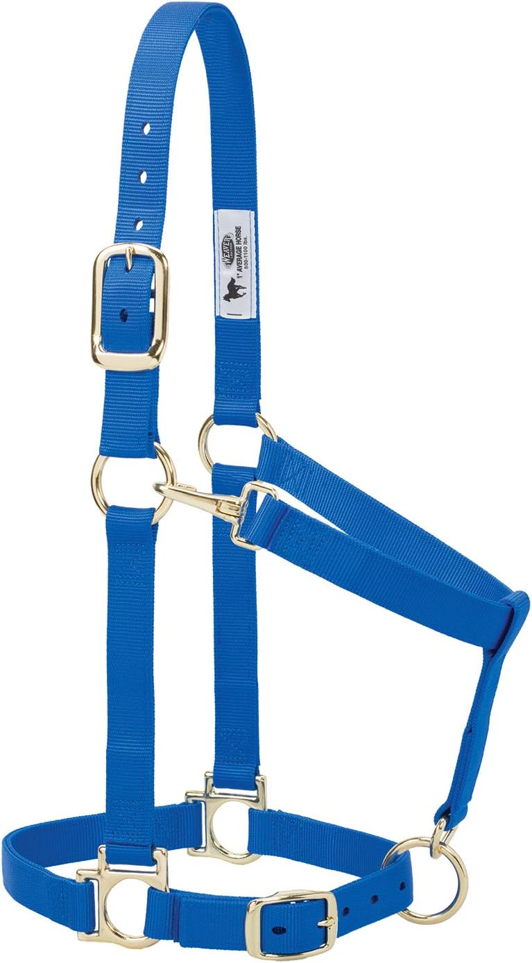 Nylon Horse Halter, Average Horse, Padded & Adjustable, 1 in