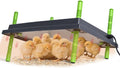 16"x22" Chick Brooder Heater Plate for Up to 50 Baby Chicks Ducks