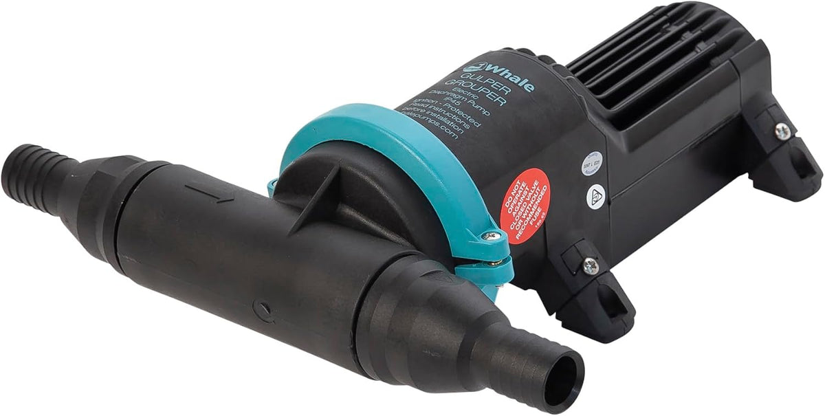 Whale Gulper Grouper Pump - Fishbox Discharge Pump