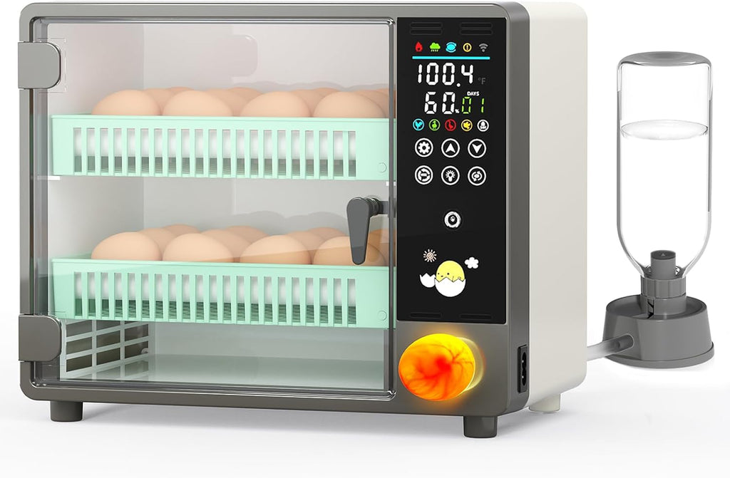 Egg Incubator for Hatching 24 Chicken Eggs |84 Quail Eggs