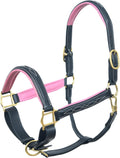 SIE Padded Leather Horse Halter with Brass Hardware and Raised Fancy Stitching (Black with Pink Padding, Cob)