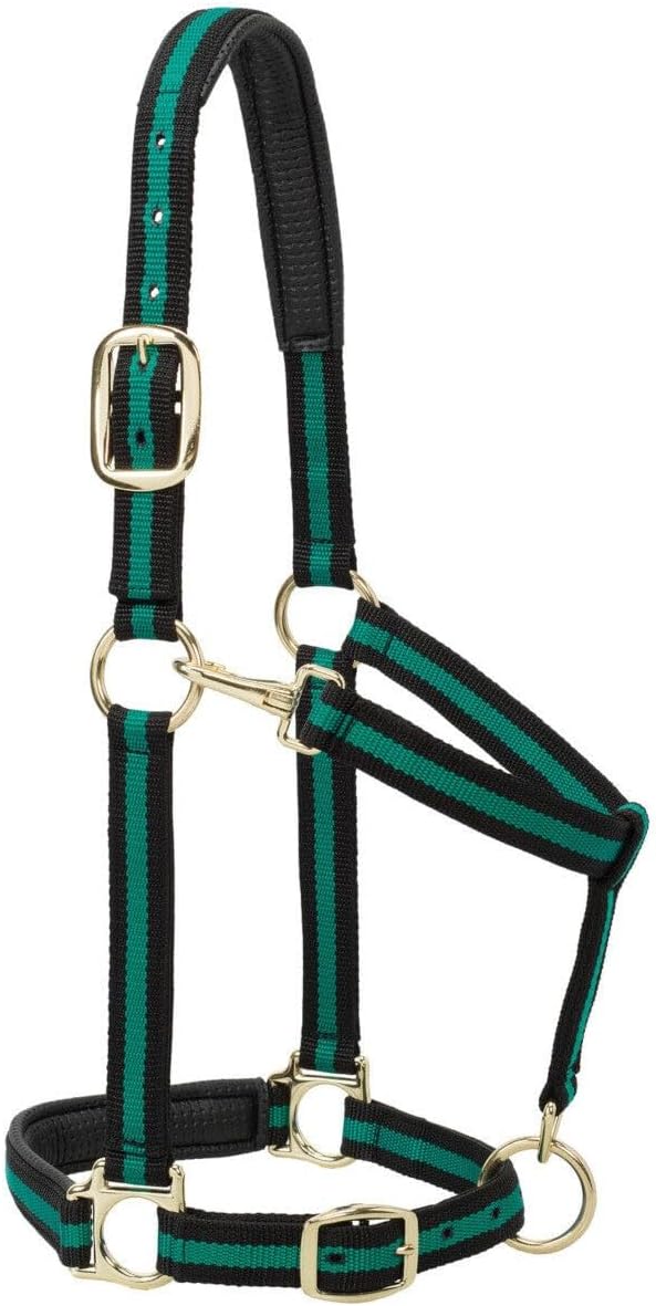 Weaver Leather Nylon Horse Halter, Padded and Adjustable, Chin and Throat Snap Hook Halters for Horses, Brass Plated